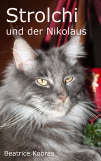 Strolchi und der Nikolaus - cover