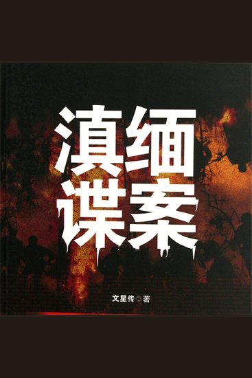 滇缅谍案 - cover