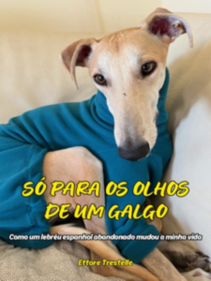 Só para os olhos de um galgo - como um lebréu espanhol abandonado mudou a minha vida - cover