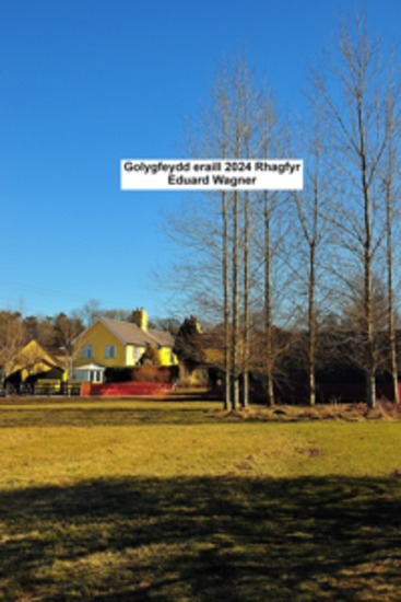 Golygfeydd eraill 2024 Rhagfyr - cover