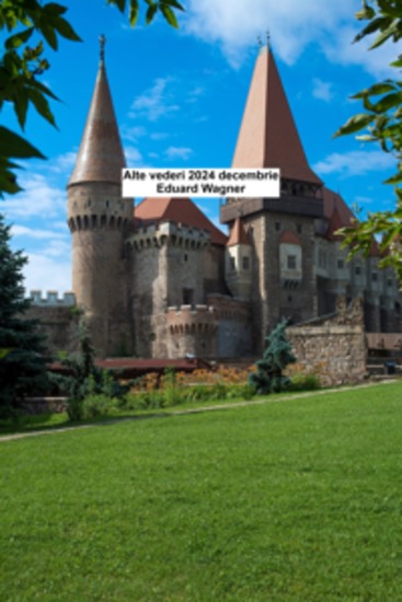 Alte vederi 2024 decembrie - cover