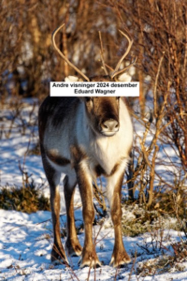 Andre visninger 2024 desember - cover