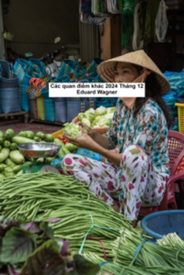 Các quan điểm khác 2024 Tháng 12 - cover