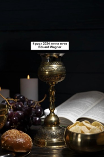 צפיות אחרות 2024 רבעון 4 - cover