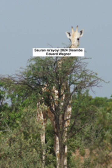 Sauran ra'ayoyi 2024 Disamba - cover