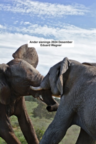 Ander sienings 2024 Desember - cover
