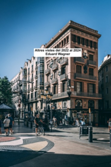 Altres visualitzacions del 2022 al 2024 - cover