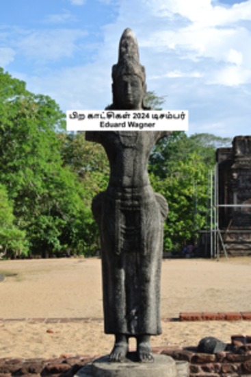 பிற காட்சிகள் 2024 டிசம்பர் - cover