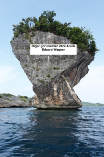 Iba pang mga view 2024 Disyembre - cover