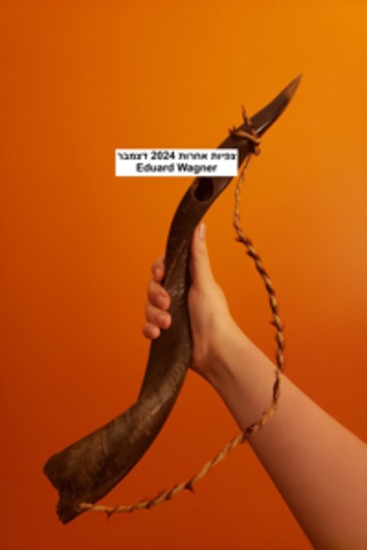 צפיות אחרות 2024 דצמבר - cover