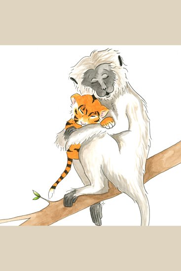 Tigers Aren't Monkeys - cover