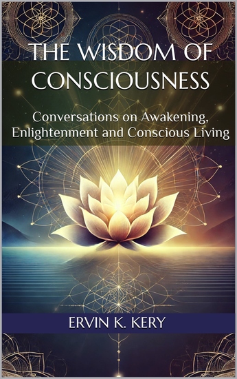 The Wisdom of Consciousness - Conversations on Awakening Enlightenment and Conscious Living - cover
