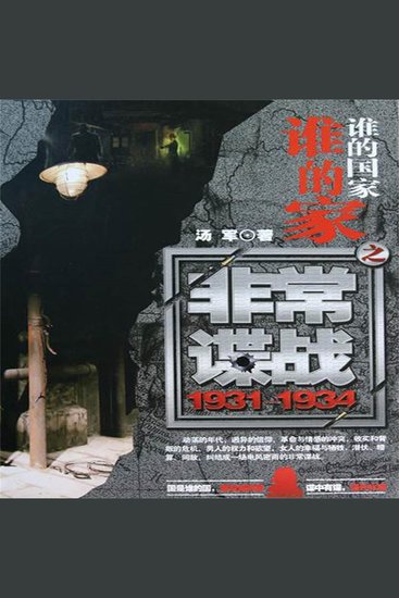 谁的国家谁的家之非常谍战 - cover