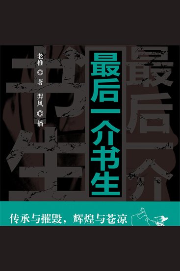 最后一介书生 - cover
