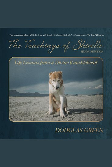 The Teachings of Shirelle - Life Lessons from a Divine Knucklehead - cover