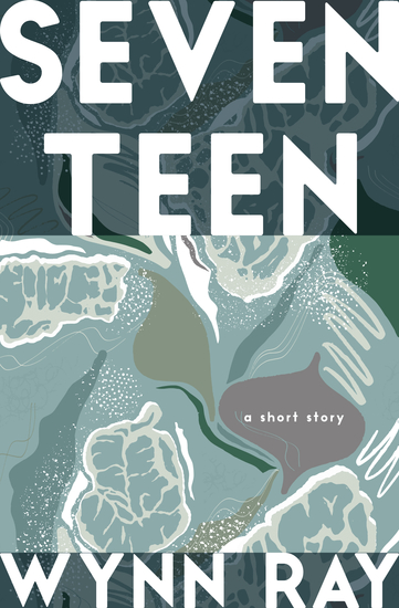 Seventeen - A Short Story - cover