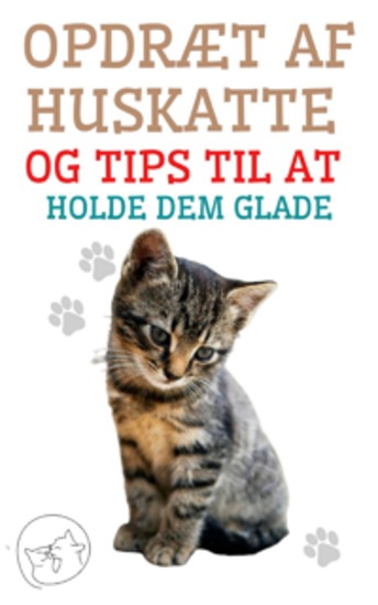 Opdræt af Huskatte og Tips til at Holde dem Glade - Den bedste guide til at forstå og elske din kat - cover