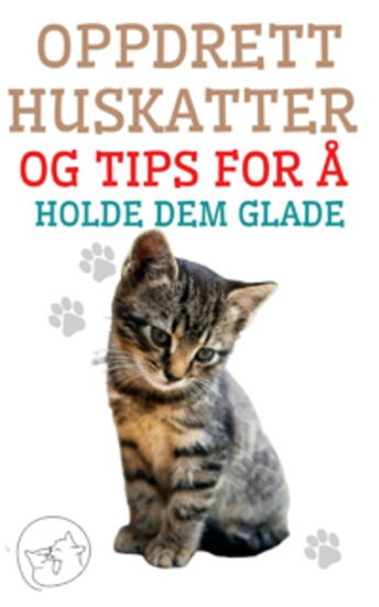 Oppdrett Huskatter og Tips for å Holde dem Glade - Den beste guiden for å forstå og elske katten din - cover