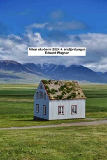 Aðrar skoðanir 2024 4 ársfjórðungur - cover