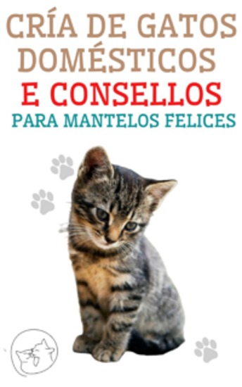 Cría de Gatos Domésticos e Consellos Para Mantelos Felices - A mellor guía para entender e amar o teu gato - cover