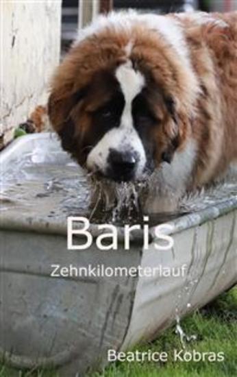 Baris Zehnkilometerlauf - cover