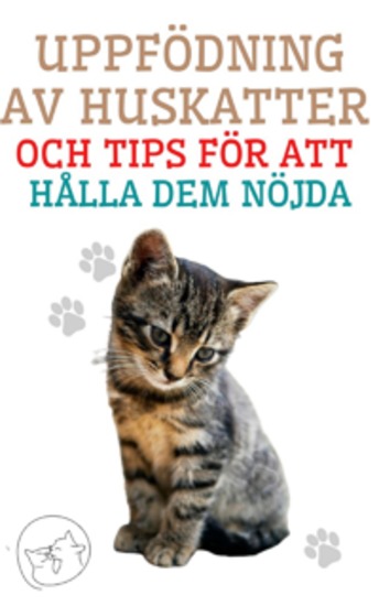 Uppfödning av Huskatter och Tips för att Hålla dem Nöjda - Den bästa guiden för dig att förstå och älska din katt - cover