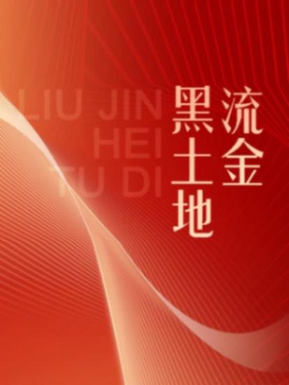 伟大的历程系列丛书：流金黑土地 - 简体中文版 - cover