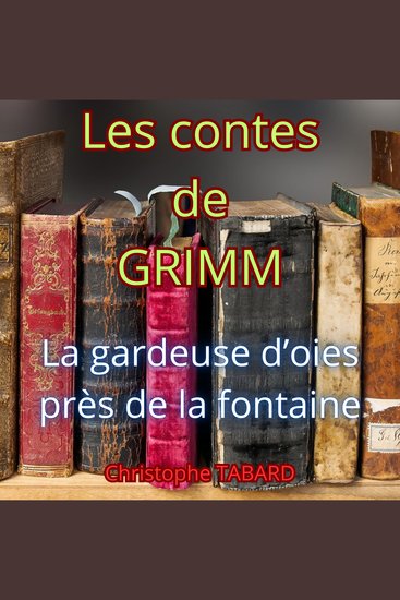 La gardeuse d'oies près de la fontaine - Les contes des frères GRIMM - cover