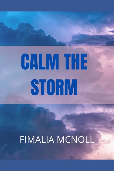 Calm the Storm (Christian Motivation) - cover