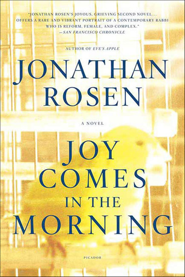 Joy Comes in the Morning - A Novel - cover