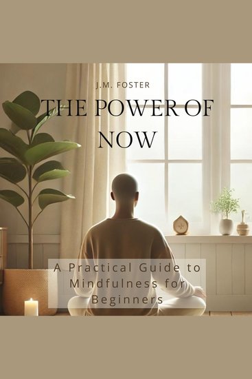 The Power of Now - A Practical Guide to Mindfulness for Beginners - cover