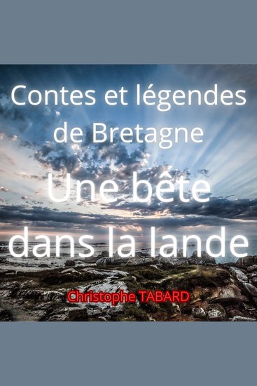 Une bête dans la lande - Contes et légendes de Bretagne - cover