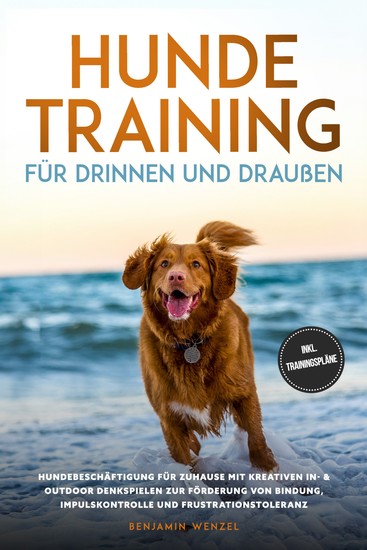 Hundetraining für drinnen und draußen: Hundebeschäftigung für zuhause mit kreativen In- & Outdoor Denkspielen zur Förderung von Bindung Impulskontrolle und Frustrationstoleranz - inkl Trainingspläne - cover