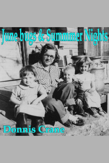 June bugs and Summer Nights - Heartstories from the Midwest - cover