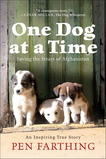 One Dog at a Time - Saving the Strays of Afghanistan - cover