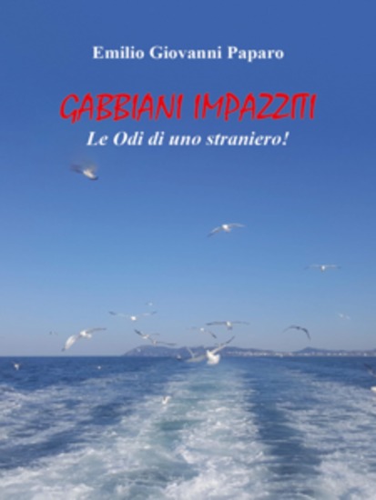 Gabbiani Impazziti - cover