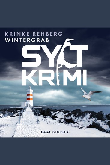 SYLTKRIMI Wintergrab: Nordseekrimi (KÜSTENKRIMI) - cover