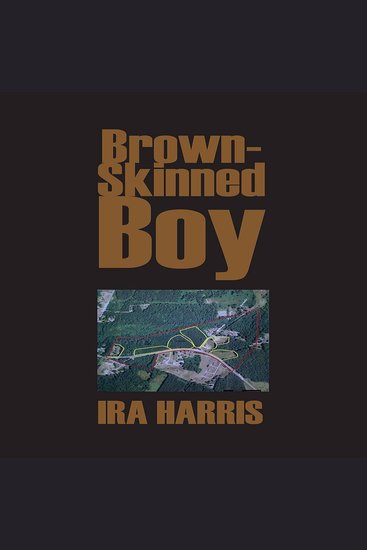Brown-Skinned Boy - cover