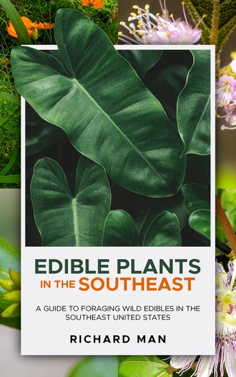 Edible Plants in the Southeast - A Guide to Foraging Wild Edibles in the Southeast United States - cover