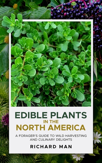 Edible Plants of North America - A Forger’s Guide to Wild Harvesting and Culinary Delights - cover