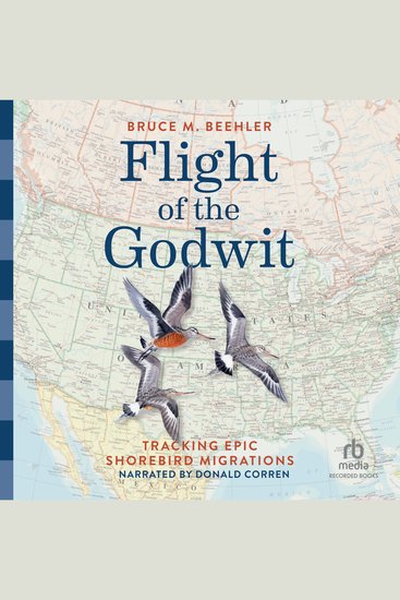 Flight of the Godwit - Tracking Epic Shorebird Migrations - cover