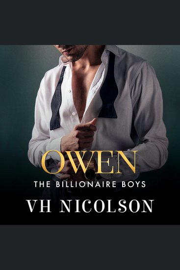 Owen - A strangers to lovers unforgettable steamy romance from VH Nicolson - cover