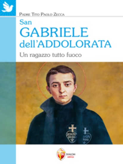 San Gabriele dell’Addolorata Un ragazzo tutto fuoco - cover