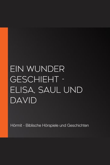 Ein Wunder geschieht - Elisa Saul und David - cover
