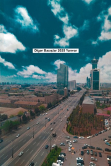 Digər Baxışlar 2025 Yanvar - cover