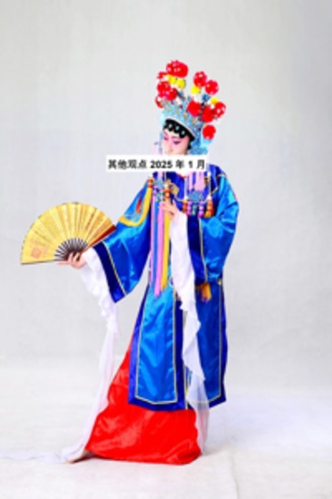 其他观点 2025 年 1 月 - cover