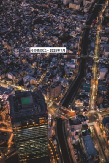 その他のビュー 2025年1月 - cover