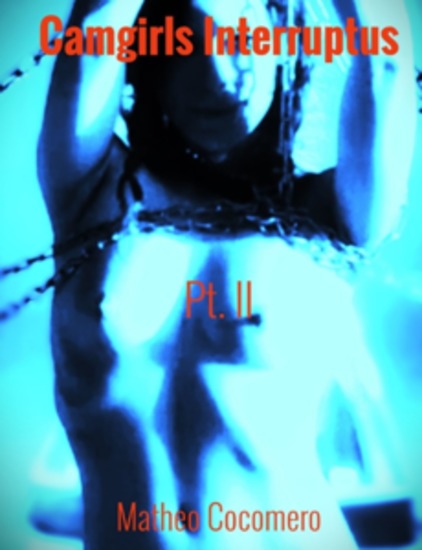 Camgirls Interruptus Part II - Protokolle einer KI basierten Verführung - Teil 2 - cover