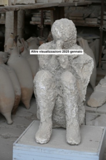 Altre visualizzazioni 2025 gennaio - cover