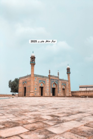 دیگر مناظر جنوری 2025 - cover